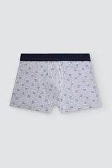 Pack de 3 bóxers Ysabel Mora 20462 de hombre: un diseño liso y dos estampados de animales, algodón y elastano